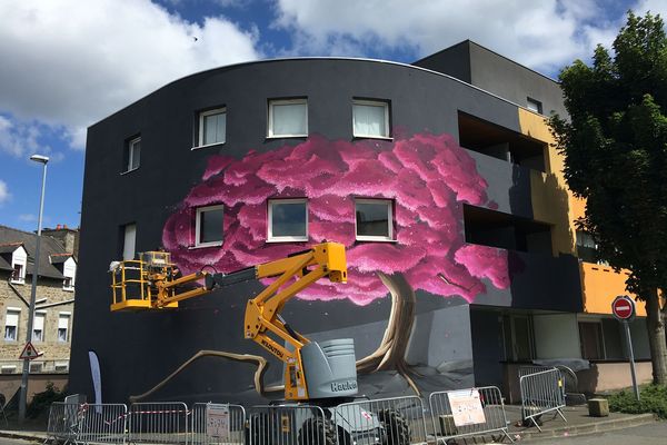 Au 6 rue Félix Ledantec, Saint-Brieuc, le cerisier du Japon en fleur, de Pak One, un graffeur breton qui se dit "de la vieille école" (old school)