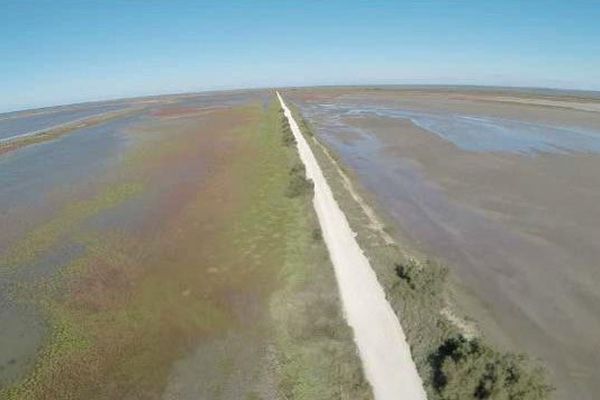 La Camargue entre terre et mer