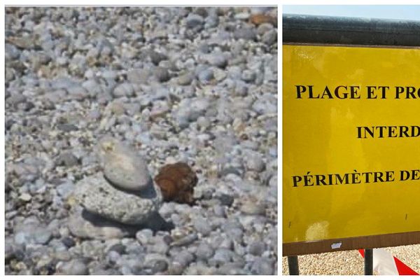 Un périmètre de sécurité a été établi, la plage et la promenade a été fermée