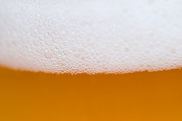 Le Parti de la Bière a été créé le 4 janvier 2022 à Larche en Corrèze