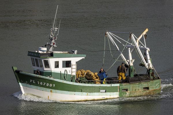 Avec l'interdiction de sortie en mer de certaines grands bateaux de pêche de fin janvier à fin février, les pêcheurs du golfe de Gascogne disent accuser "des pertes folles" (ici à Saint-Brieuc en octobre 2021, photo d'illustration).