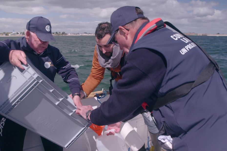 “Plankton Goal,” when scientists, boaters and marine professionals unite for research and the environment