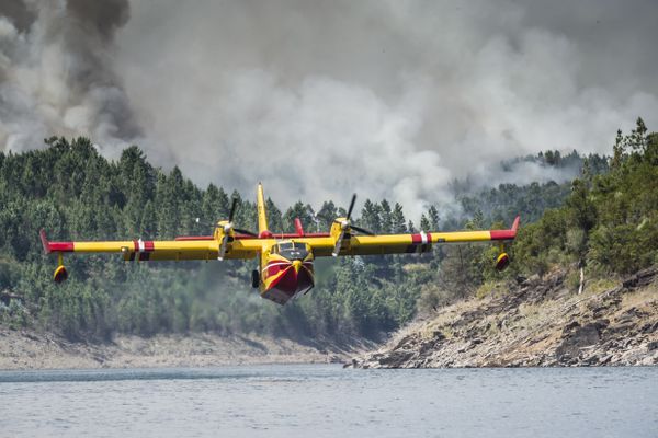 Canadair en opération d'écopage au Portugal