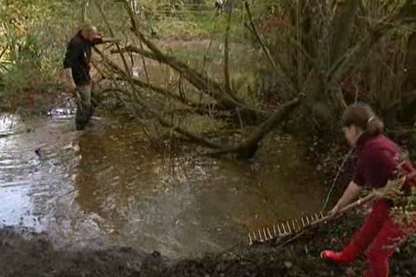 A Champs dans le Puy-de-Dôme, les bénévoles, petits et grands, défrichent et ratissent pour sauver une petite orchidée et favoriser la biodiversité.