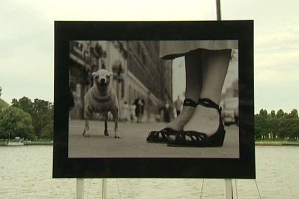 Eliott Erwitt, figure de l'agence Magnum, expose ses portraits sur les rives du lac d'Allier à Vichy