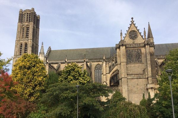 L'animal a été tué près de la cathédrale St-Etienne de Limoges le 8 octobre 2018. 