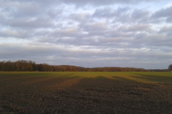 Raimbeaucourt le 11 novembre après-midi