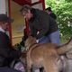 L'association La Cantine des Patounes distribue de la nourriture pour animaux à 250 adhérents de la région de Coutances (Manche).