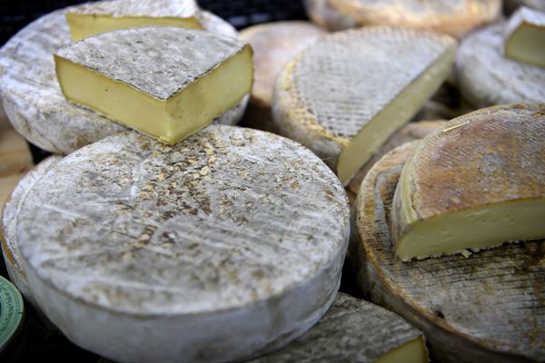 Les fromages concernés ressemblent à du Saint-Nectaire (image d'illustration).