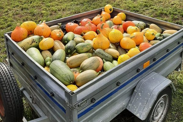 Chaque année depuis trois ans, les parents d'élèves des écoles de Vaux-et-Chantegrue et Bonnevaux organisent une vente de courges, comme ici en 2022