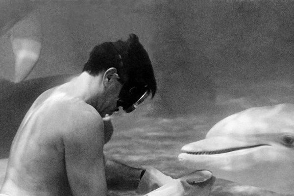 Jacques Mayol jouant avec des dauphins dans les profondeurs marines en 1977