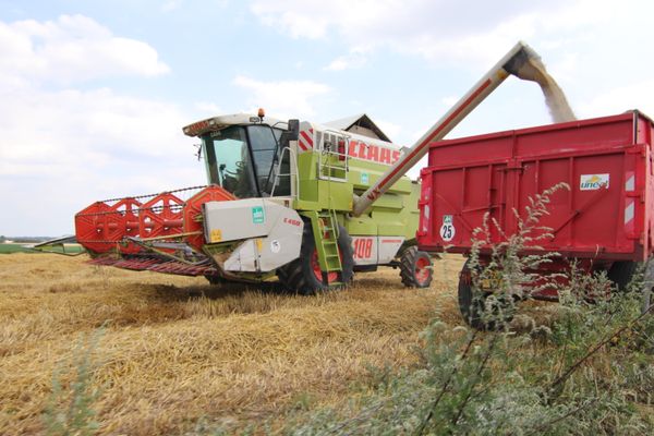 Si le gel s'abat sur les Hauts-de-France, des retards seront à prévoir sur les exploitations