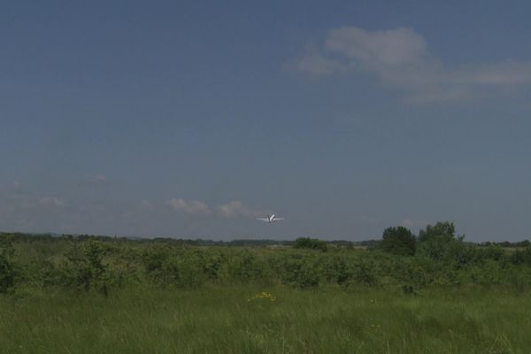 Les prairies de l'aéroport de Carcassonne où poussent des semences récoltées en juin 2023.