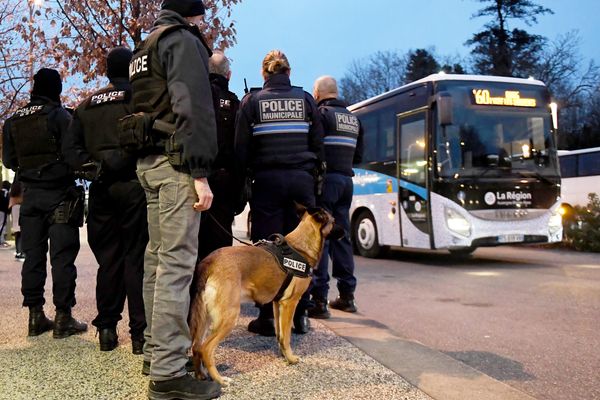 Illustration. Un chien de la police municipale de Montauban a mordu un octogénaire, après avoir rompu sa laisse.