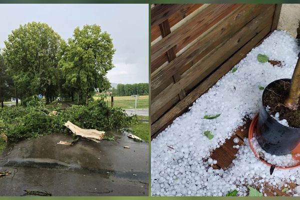 Orages en Bourgogne le 9 juillet 2024 : à gauche, un arbre tombé à Vitteaux (21) ; à droite, des grêlons à Brienon-sur-Armançon (89).