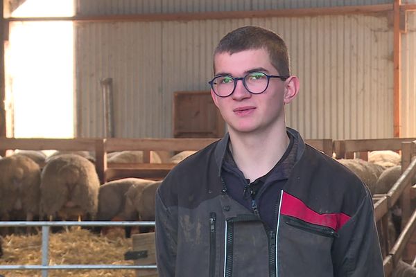 Benoît Toutain, 18 ans, a été sacré meilleur jeune berger du monde lors des Ovinpiades mondiales organisées en France du 25 mai au 1er juin 2024.