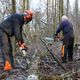 Affouagistes dans la forêt de Botans