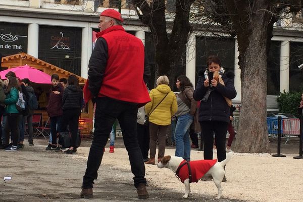 Des bénévoles un peu particuliers présents au Festival de Luchon.