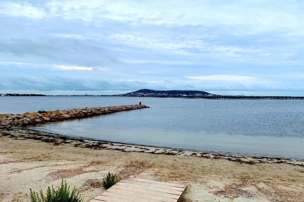 Ce samedi 23 novembre, Sète Agglopole Méditerranée a organisé 4 balades sur différents sites autour de l'étang de Thau. Un travail de concertation citoyenne pour solliciter l'avis des riverains sur les aménagements futurs.  Une réflexion commune la manière de concilier le développement, le respect de l'environnement et le recul du trait de côte dans les décennies qui viennent.