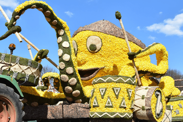 La fête des jonquilles 2017 à Gérardmer