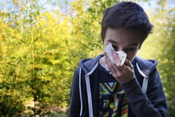 En proie à des difficultés financières, ce réseau national basé dans le Rhône craint de ne pouvoir poursuivre son action de prévention des allergies aux pollens.