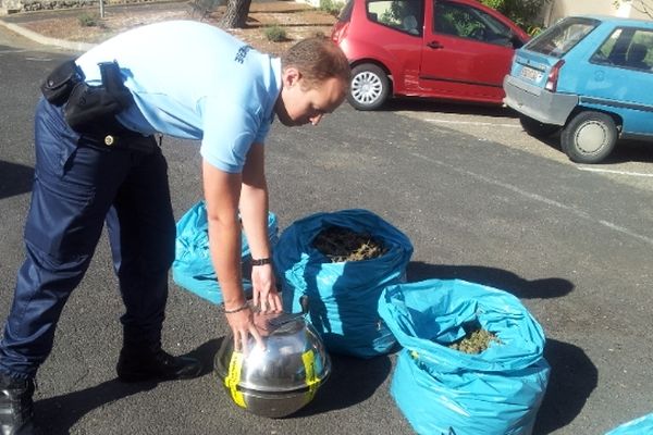 Cazouls-lès-Béziers (Hérault) - saisie de drogue de la gendarmerie - 10 octobre 2012.