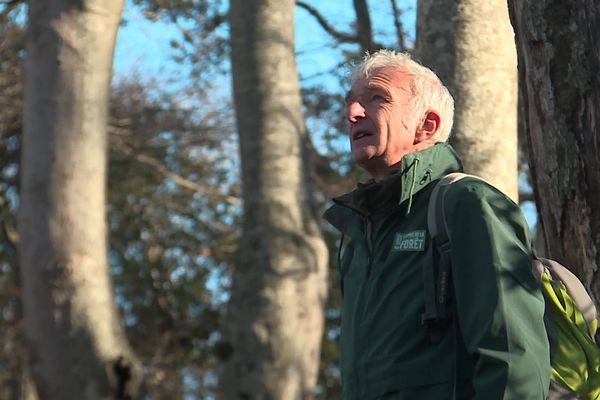 Joseph Garrigue, ancien conservateur de la réserve de la Massane dénonce les répercussions néfastes des pesticides sur la forêt des Pyrénées-Orientales.