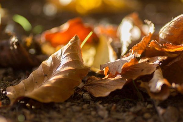 L'automne ou un air d'été indien en Franche-Comté 