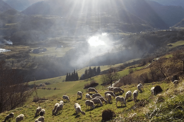 L'écobuage permet de se débarasser des ronces et de faire de l'engrais