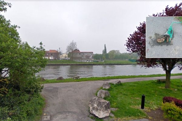 La découverte explosive a été faite dans le canal, à proximité de la rue du Pont à Neuville-sur-Escaut.