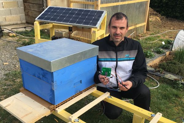 Quand l'électronique vient au service de la nature pour sauvegarder nos abeilles et garder un œil sur leurs petites vies. David Gilloux, l'apiculteur-ingénieur de Lonny dans les Ardennes.