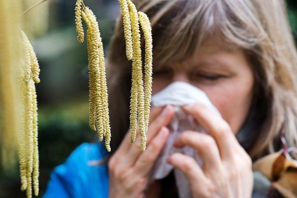 Une personne sur trois est allergique aux pollens