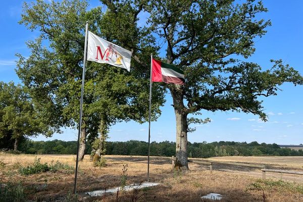 Ces deux drapeaux sont les seuls signes de la présence de l'écurie d'équitation d'endurance à Lisles-sur-Tarn, dans le département du Tarn, à proximité du site de Sivens.