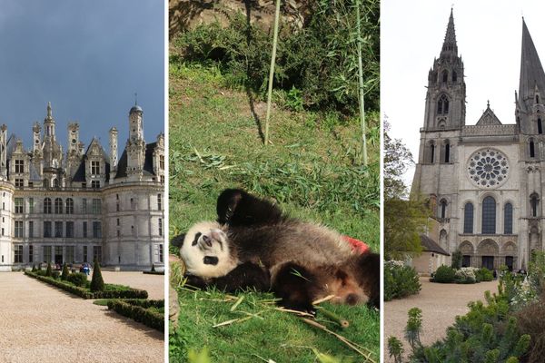 Le château de Chambord, un panda de Beauval, la cathédrale de Chartres.