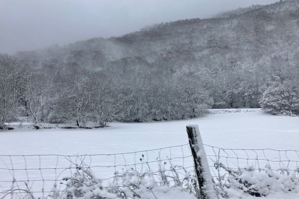 Réveil sous la neige, ce dimanche 8 décembre 2024, dans les Pyrénées. Ici, dans le secteur de Loudenvielle, à 900 mètres d'altitude, dans les Hautes-Pyrénées.