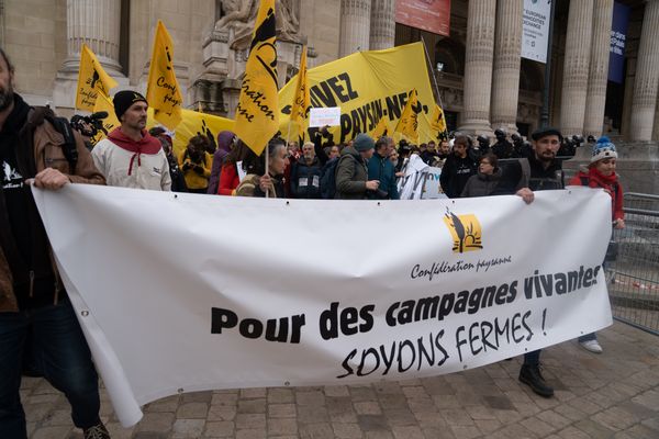 Des agriculteurs derrière la bannière de la conféderation paysanne, le 5 décembre 2024, devant le Grand Palais à Paris.