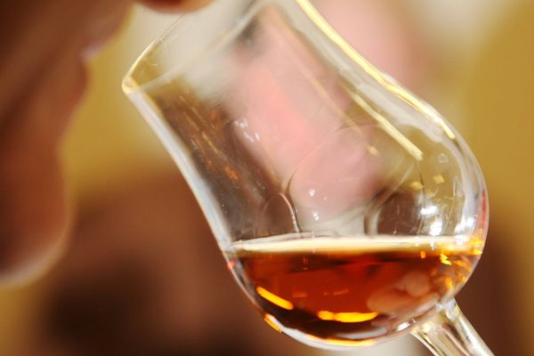 Le foncier viticole en Cognac flambe : 15.000 euros l'hectare en 2000, 50.000 euros aujourd'hui