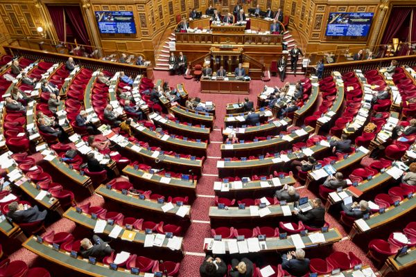 Le Sénat est composé de 348 sénateurs, dirigé par un président et accompagné par le Bureau du Sénat.