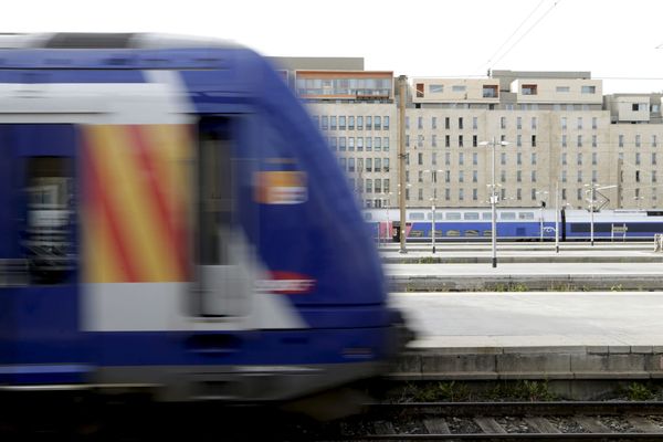 Le trafic TER sera encore très pertubé dimanche.