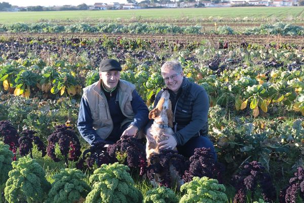 Isabelle et Noël Michot, maraîchers en Charente-Maritime, font l'objet d'un bel élan de solidarité.