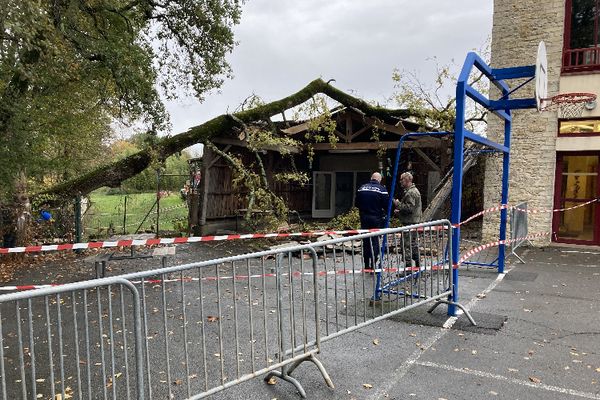 L'arbre s'est effondré sur le préau de l'école de Monbazillac ce lundi 21 novembre