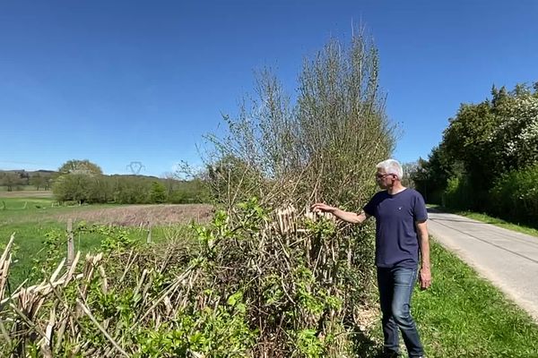 Daniel Jarrige regrette que les haies aient été coupées, le 15 avril 2024, en Haute-Vienne.