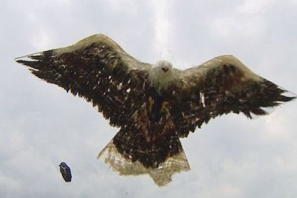 Un des cerfs-volants du festival de Pontarlier 