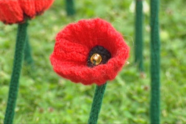 26 000 coquelicots tricotés ont été plantés en hommage aux 26 000 victimes australiennes.