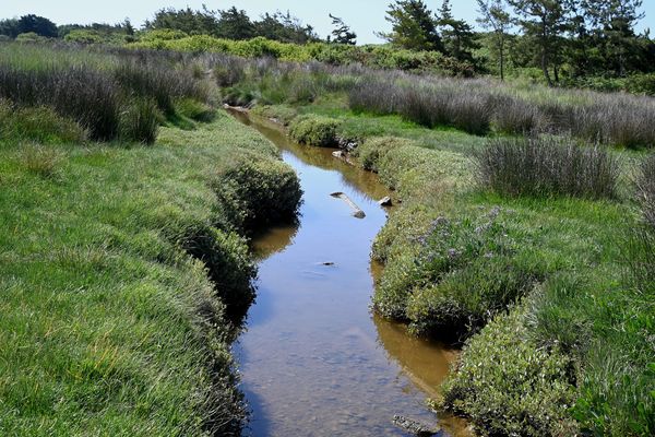 Face à la sécheresse et à la dégradation des ressources en eaux en Ille-et-Vilaine, de nouvelles mesures de restrictions ont été annoncées pour préserver les milieux aquatiques