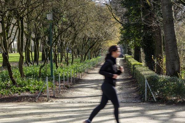 La victime, une jeune femme dans la vingtaine, a été agressée dans un parc de Toulouse (Haute-Garonne).