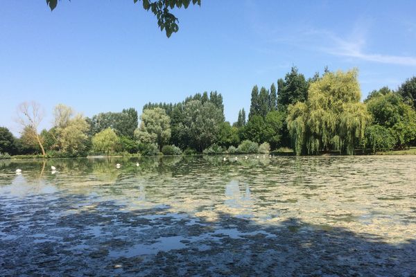 Le plan d'eau de Grézillé a été fermé à la baignade, mercredi 25 juillet, à cause des cyanobactéries