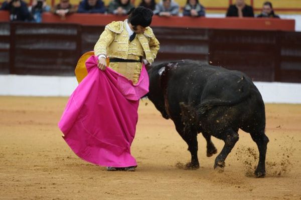 Morante de la Puebla. Olivenza 2013.