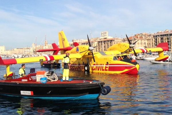 Un pélican a bouché le Vieux Port ce jeudi !