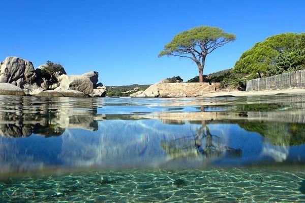 Plage de Palombaggia